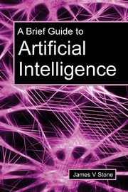 A Brief Guide to Artificial Intelligence, Stone James V