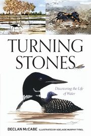 Turning Stones, McCabe Declan