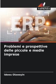Problemi e prospettive delle piccole e medie imprese, Olawoyin Idowu