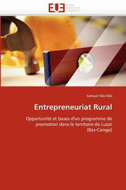 Entrepreneuriat rural, NIKI-NIKI-S