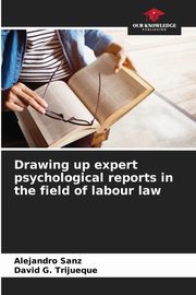 ksiazka tytu: Drawing up expert psychological reports in the field of labour law autor: Sanz Alejandro