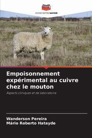 Empoisonnement exprimental au cuivre chez le mouton, Pereira Wanderson