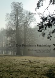Der prosaische Sonderling, Filius Lorenz