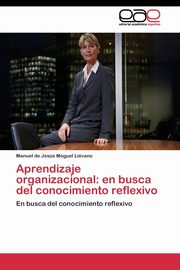 Aprendizaje organizacional, Moguel Livano Manuel de Jess