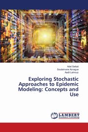Exploring Stochastic Approaches to Epidemic Modeling, SETTATI Adel