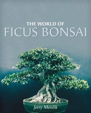 The World of Ficus Bonsai, Meislik Jerry