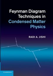 Feynman Diagram Techniques in Condensed Matter Physics, Jishi Radi