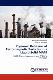 Dynamic Behavior of Ferromagnetic Particles in a Liquid-Solid Mafb, Pinto-Espinoza Joaquin