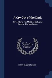 A Cry Out of the Dark, Stevens Henry Bailey