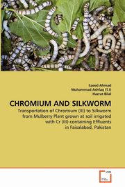 CHROMIUM AND SILKWORM, Ahmad Saeed