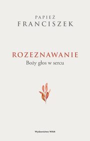 Rozeznawanie, Papie Franciszek