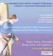 ksiazka tytu: Koci, stawy i wizada autor: Gielecki Jerzy, urada Anna, Gajda Grzegorz