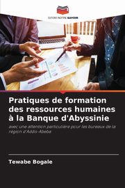 Pratiques de formation des ressources humaines ? la Banque d'Abyssinie, Bogale Tewabe