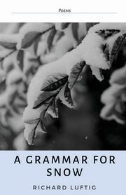A Grammar for Snow, Luftig Richard