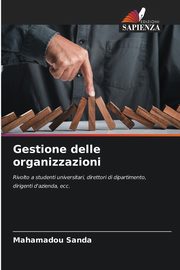 Gestione delle organizzazioni, SANDA Mahamadou