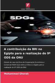 A contribui?o da BRI no Egipto para a realiza?o do 9? ODS da ONU, Ghorab Mohammed