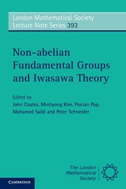 Non-abelian Fundamental Groups and Iwasawa Theory, 