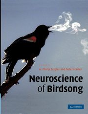 ksiazka tytu: Neuroscience of Birdsong autor: 