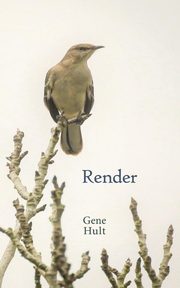 Render, Hult Gene