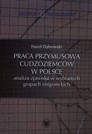 Praca przymusowa cudzoziemcw w Polsce, Dbrowski Pawe