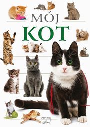 Mj Kot, 