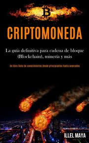 Criptomoneda, Maya Illel