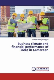 Business climate and financial performance of SMEs in Cameroon, Stanley Kongnyuy Wirkom