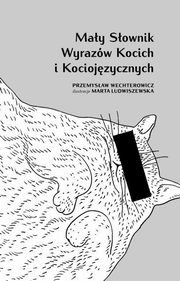 ksiazka tytu: May sownik wyrazw kocich i kociojzycznych autor: Wechterowicz Przemysaw