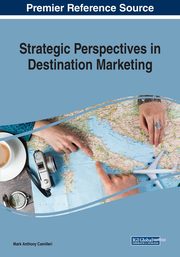 Strategic Perspectives in Destination Marketing, 