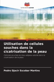 Utilisation de cellules souches dans la cicatrisation de la peau, Escobar Martins Pedro Djacir