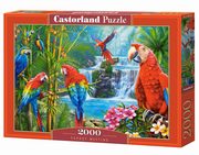 Puzzle 2000 Parrot Meeting, 