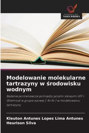 Modelowanie molekularne tartrazyny w rodowisku wodnym, Antunes Kleuton Antunes Lopes Lima