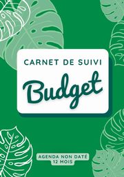 Carnet de suivi budget, Pellegrini Virginie