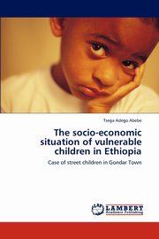 The Socio-Economic Situation of Vulnerable Children in Ethiopia, Abebe Tsega Adego