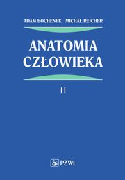 Anatomia czowieka Tom 2, Bochenek Adam, Reicher Micha
