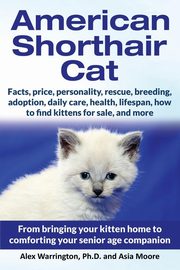 American Shorthair Cat, Warrington Ph.D. Alex