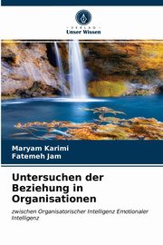 ksiazka tytu: Untersuchen der Beziehung in Organisationen autor: Karimi Maryam