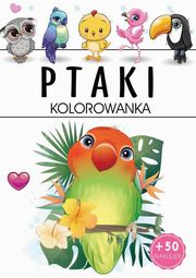 Ptaki Kolorowanka, 