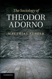 The Sociology of Theodor Adorno, Benzer Matthias