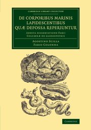 De corporibus marinis lapidescentibus qu? defossa             reperiuntur, Scilla Agostino