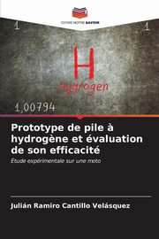 Prototype de pile ? hydrog?ne et valuation de son efficacit, Cantillo Velsquez Julin Ramiro