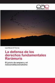 La defensa de los derechos fundamentales Rarmuris, Becerril Torres Luis