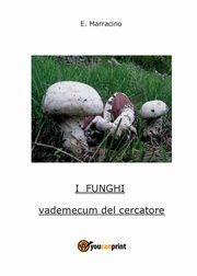 I Funghi, Marracino Ermanno