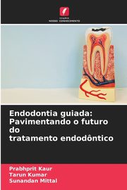 Endodontia guiada, Kaur Prabhprit