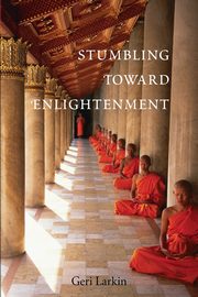Stumbling Toward Enlightenment, Larkin Geri