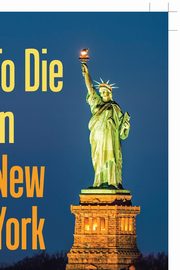 To Die in New York, Vogelsang Louis Wigdorsky