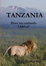 Tanzania. Dove sta andando l'Africa?, Bo Enrico