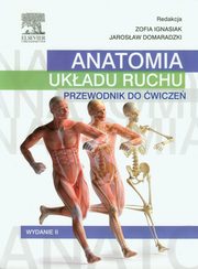 Anatomia ukadu ruchu Przewodnik do wicze, 