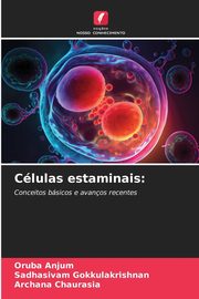 Clulas estaminais, Anjum Oruba