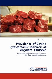 Prevalence of Bovine Cysticercosis/ Taeniasis at Yirgalem, Ethiopia, Abunna Fufa